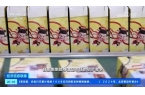消费热潮洞见卡游的国潮远见与战略定力PG